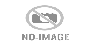 Wildlife Photographer of the Year 2011 in Museon